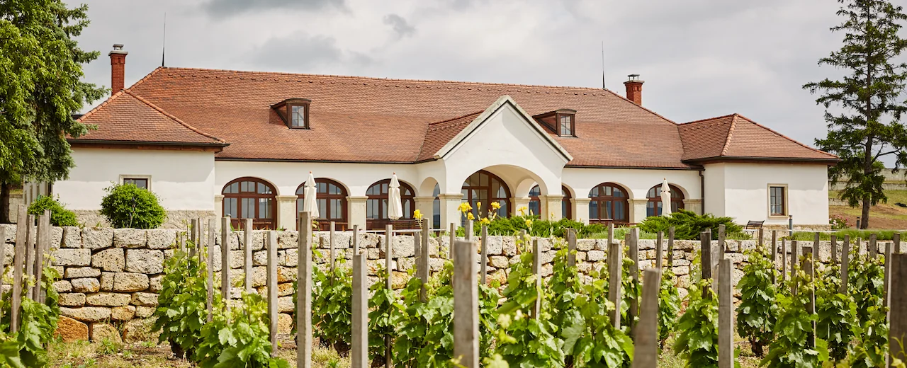 La bodega de Patricius vista desde el viñedo, en Bodrogkisfalud