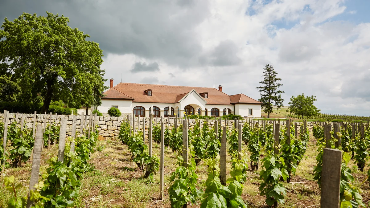 La casa de prensa de Patricius vista desde el viñedo, en Bodrogkisfalud