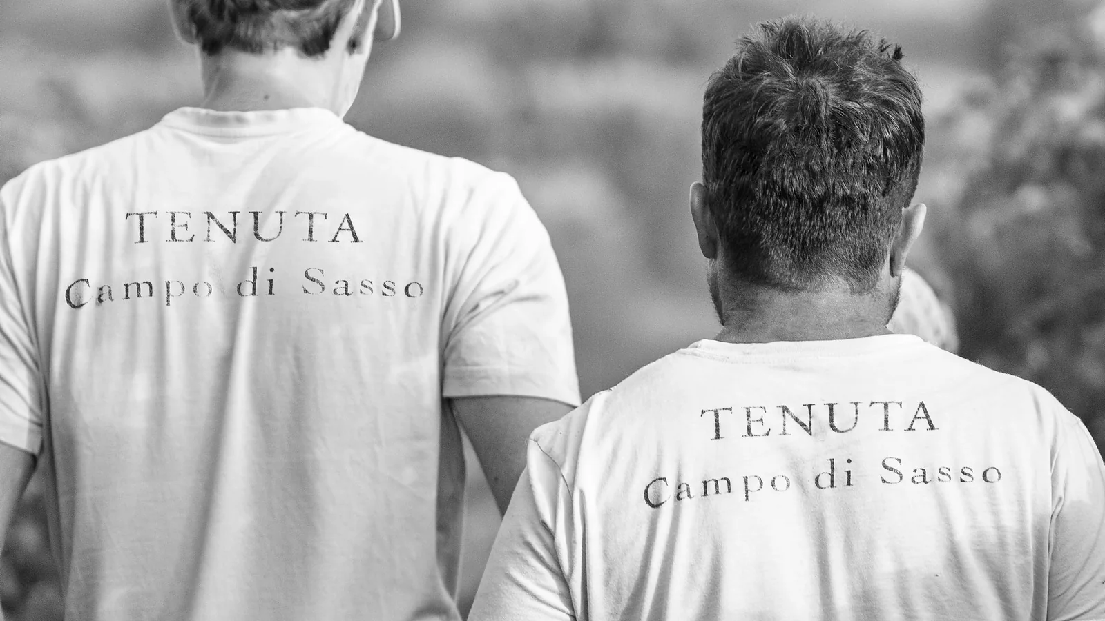 Dos vendimiadores de espaldas con el nombre de Tenuta Campo di Sasso en la camiseta