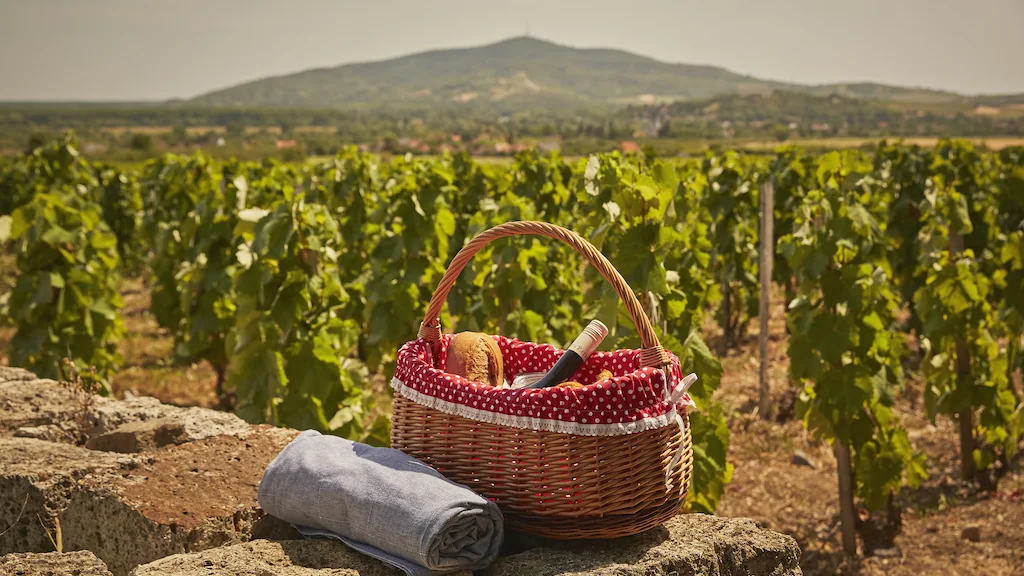 Canasta de picnic con una botella sobre un muro de piedra, frente a los viñedos de Tokaj