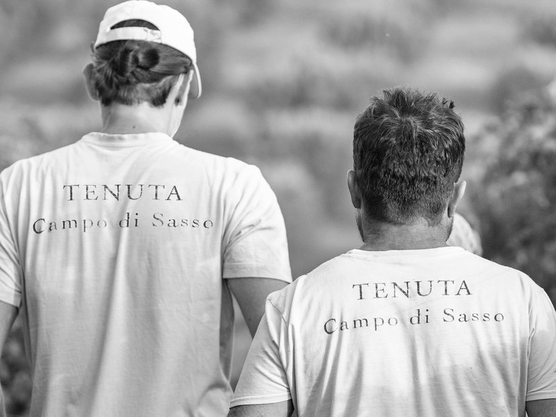 Dos trabajadores de Tenuta Campo di Sasso de espaldas, con el nombre de la finca en la camiseta