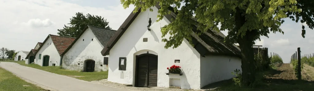 Casas de bodega blancas con techos de dos aguas en una Kellergasse de Carnuntum, bajo un árbol y junto a un viñedo