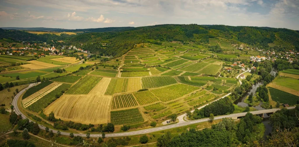 Viñedos y campos en una curva del río Kamp, con un pueblo al pie de las laderas boscosas del Kamptal