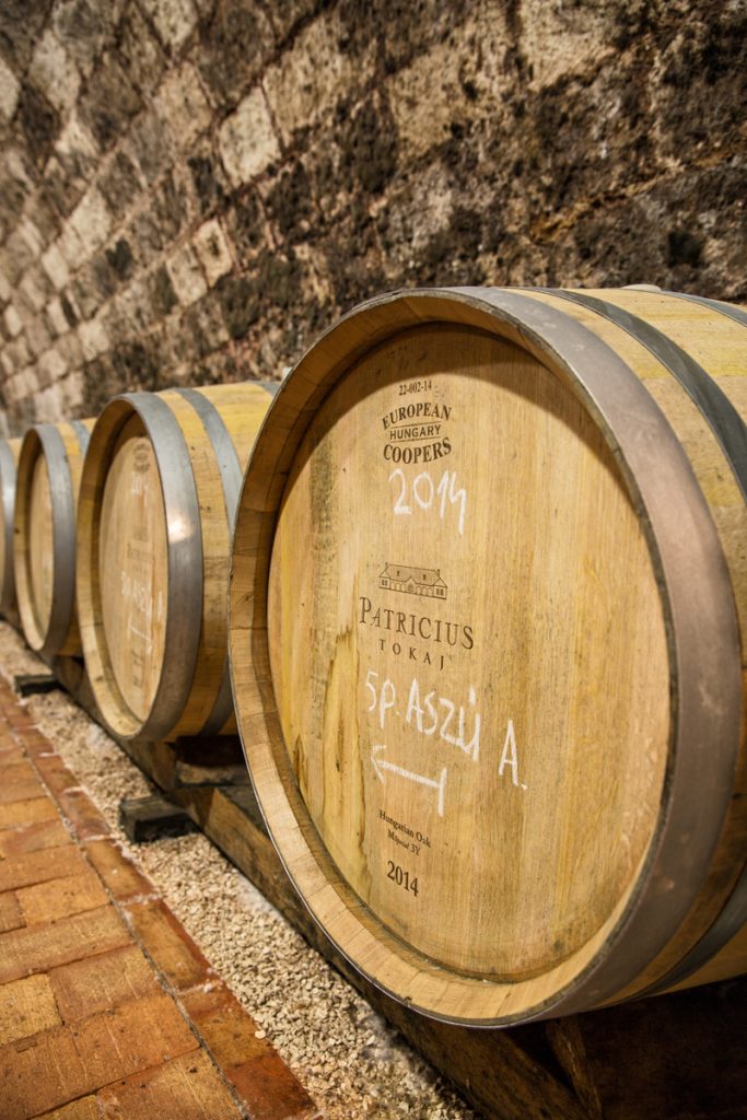 Barricas en la bodega de Patricius, en Bodrogkisfalud