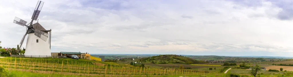 Un molino de viento blanco sobre viñedos jóvenes del Weinviertel, con las colinas de la región al fondo